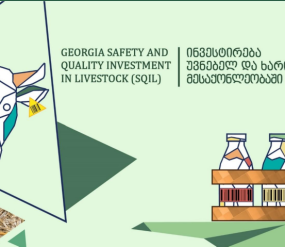 Screenshot 2026-02-23 151229